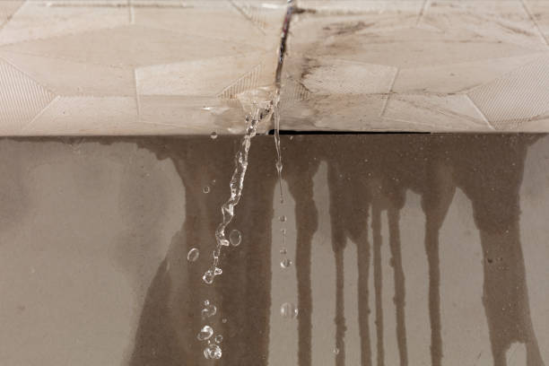 Professional Water Extraction technician working in Osceola, IA